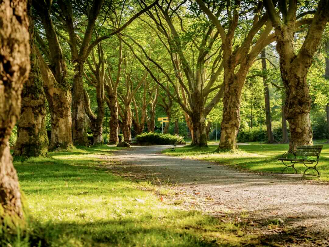 Spaziergang in Bad Krozingen