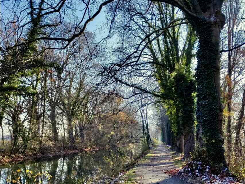 Spaziergang in Breisach